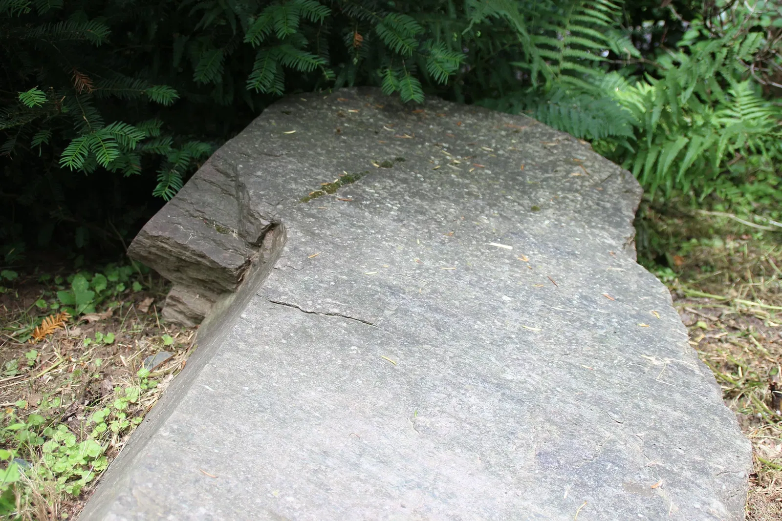 von Opel Hessische Zoostiftung