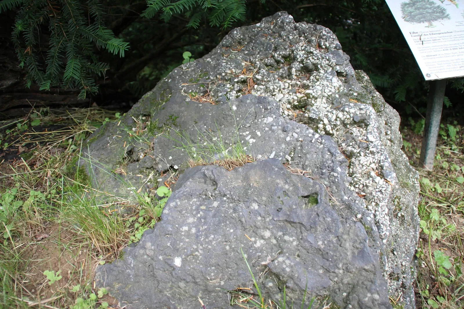 von Opel Hessische Zoostiftung