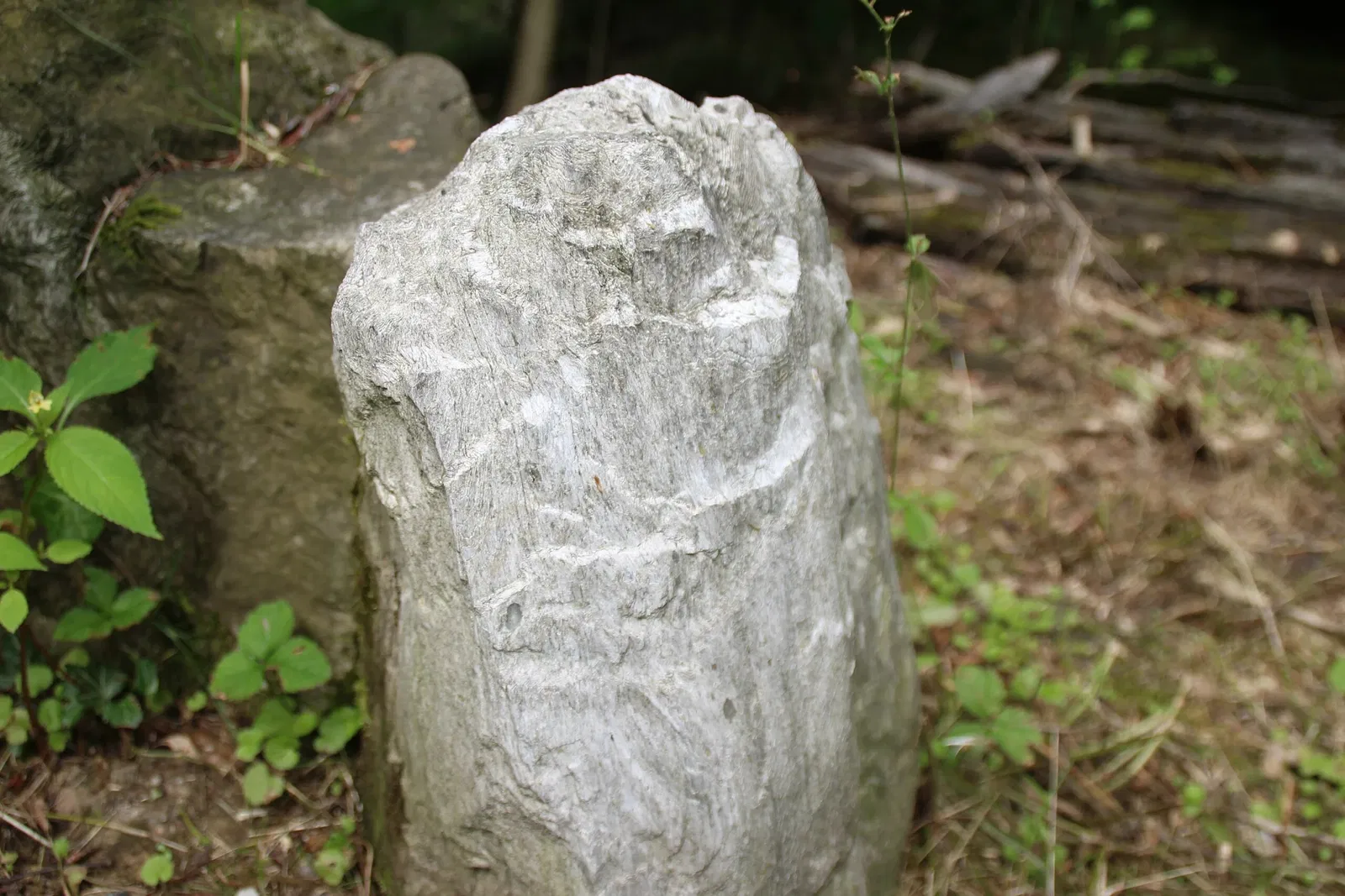 von Opel Hessische Zoostiftung