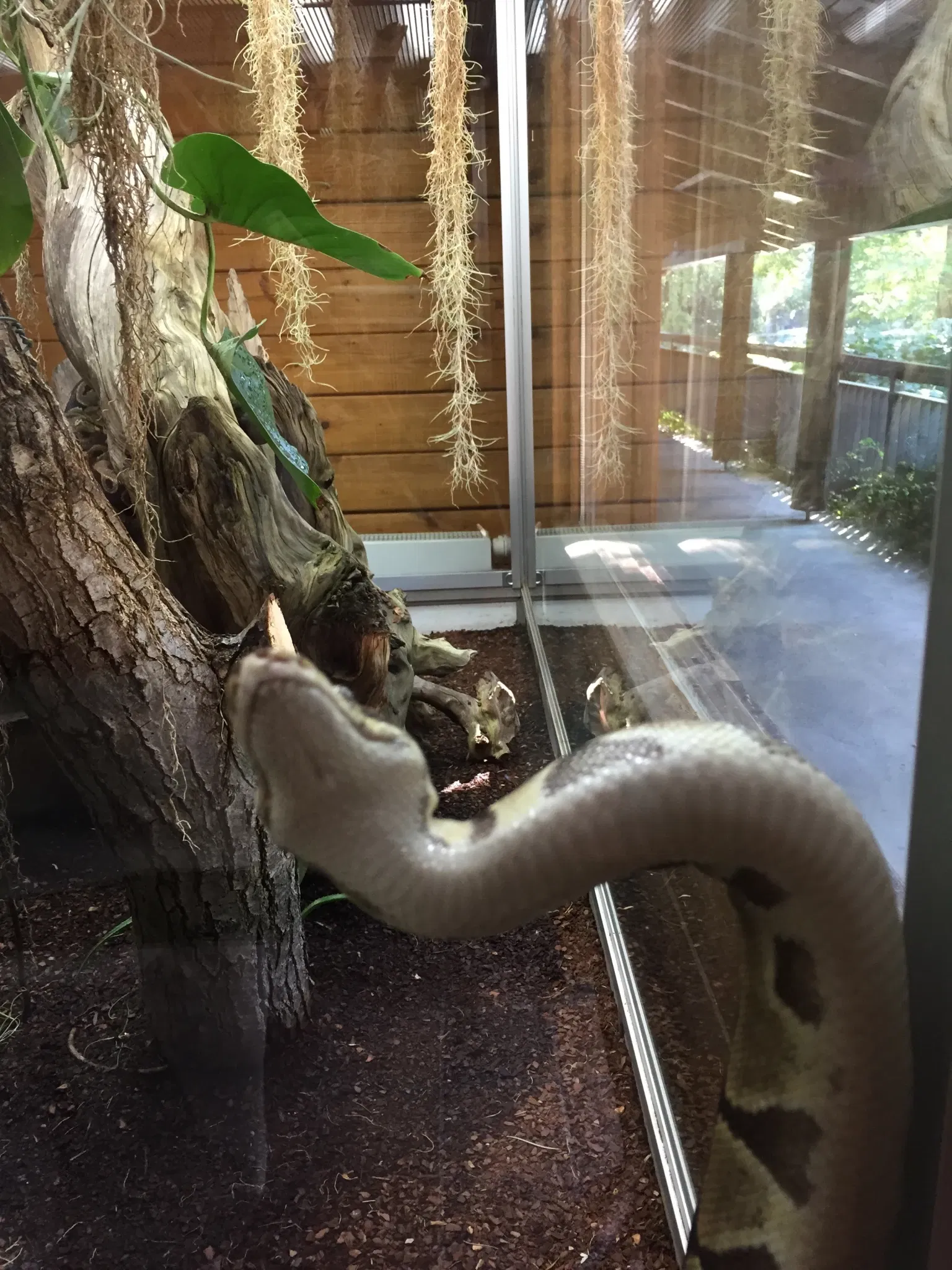 von Opel Hessische Zoostiftung