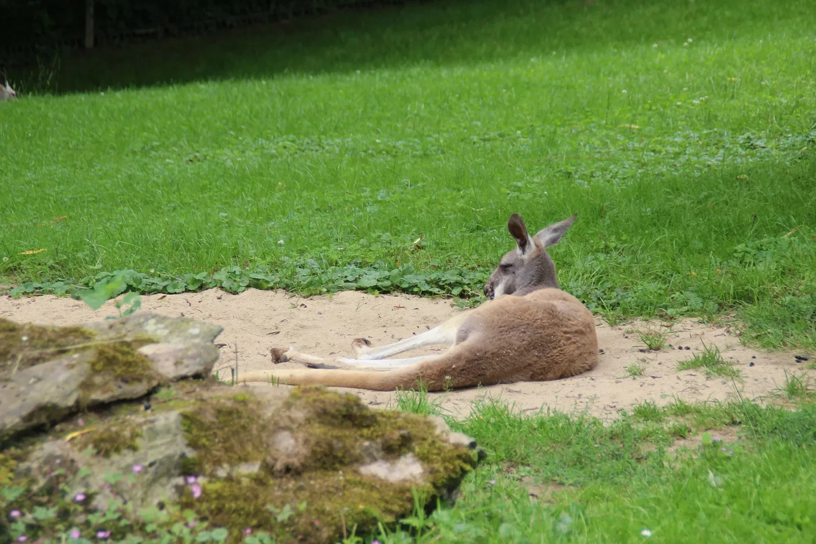 von Opel Hessische Zoostiftung