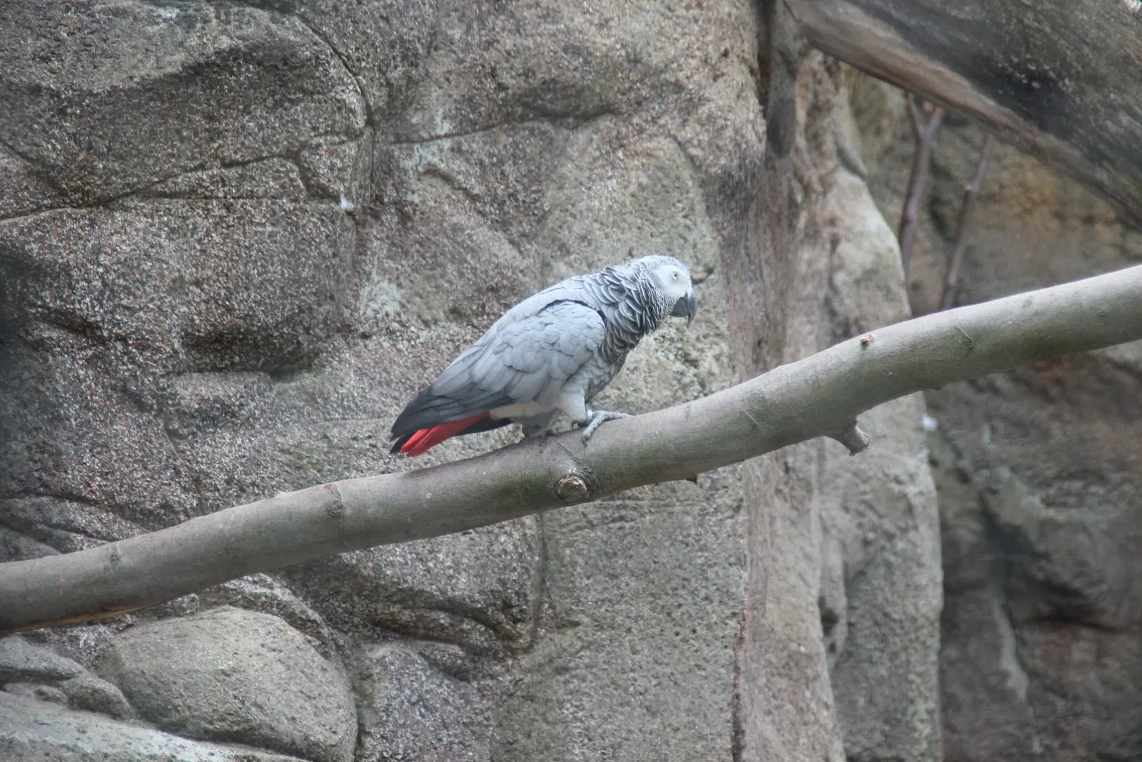 von Opel Hessische Zoostiftung