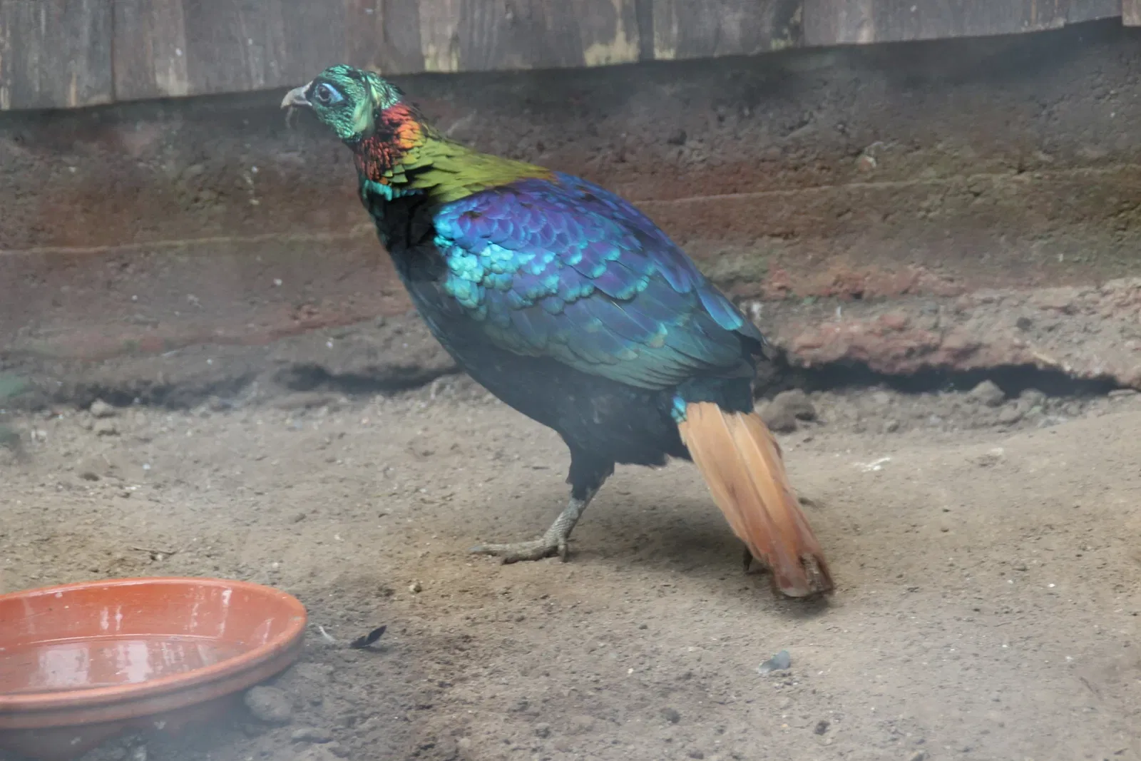 von Opel Hessische Zoostiftung