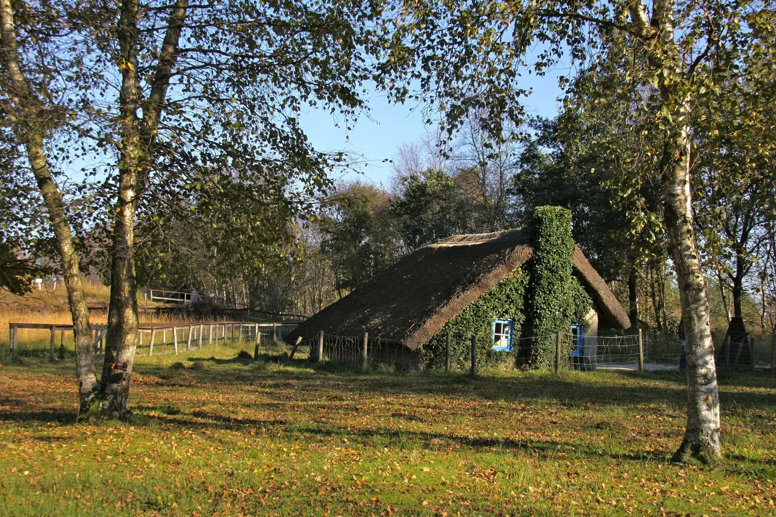 Moormuseum Moordorf