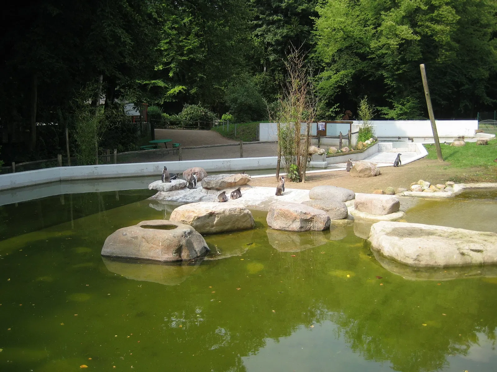 Neumünster Zoo