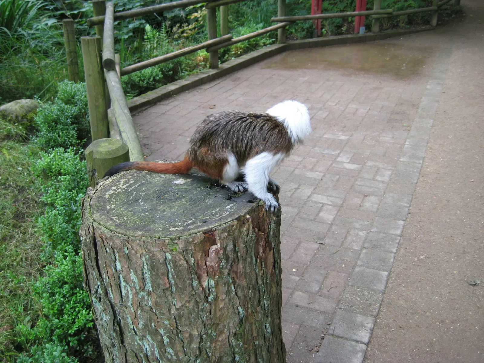 Tierpark Neumünster