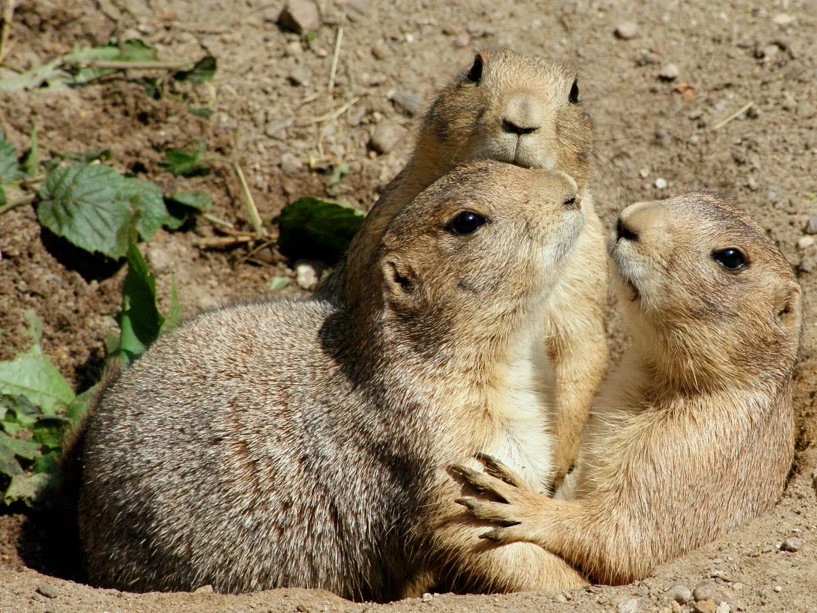 Tierpark Neumünster