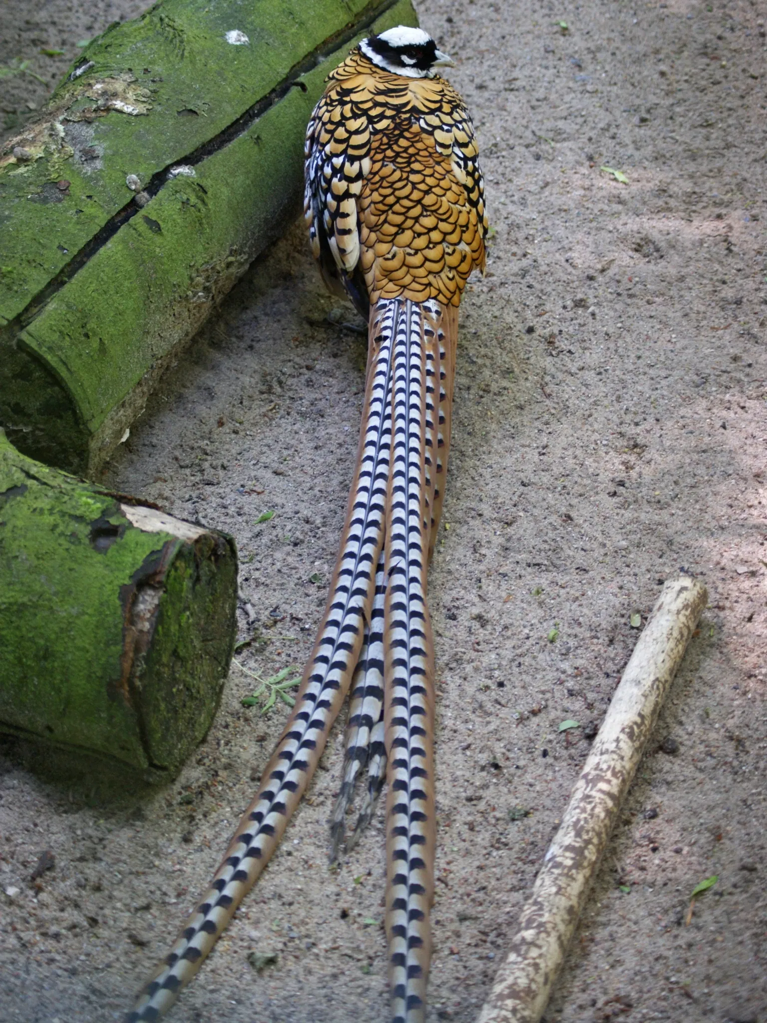 Tierpark Neumünster
