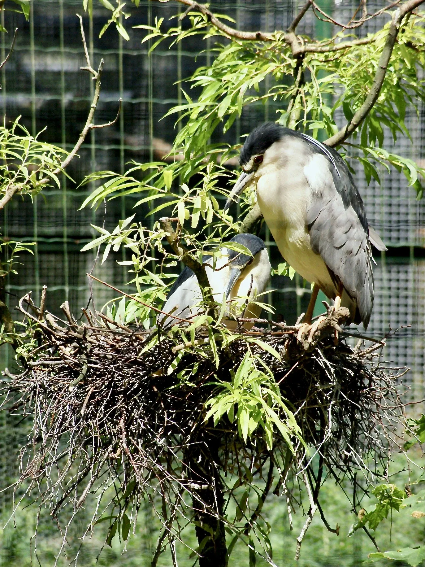 Tierpark Neumünster