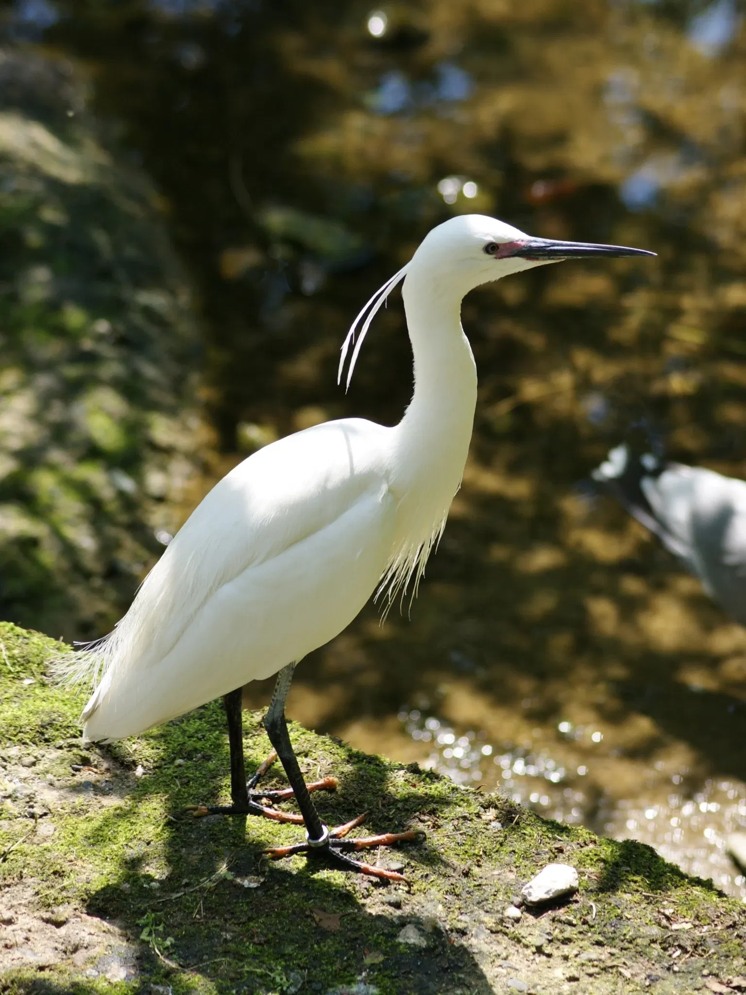 Tierpark Neumünster
