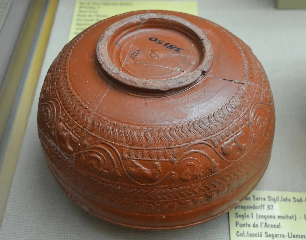 Museo Arqueológico y Etnográfico Soler Blasco