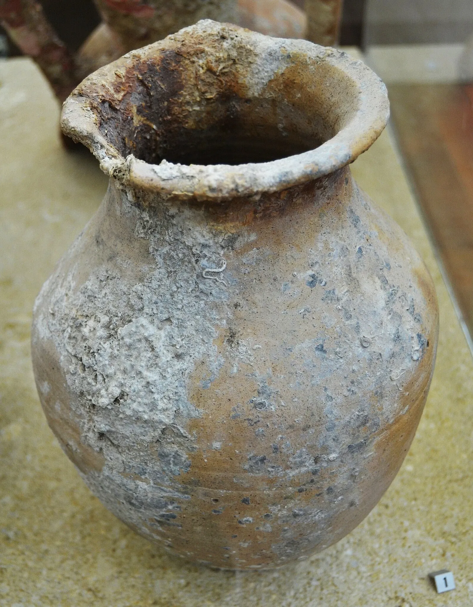 Museo Arqueológico y Etnográfico Soler Blasco