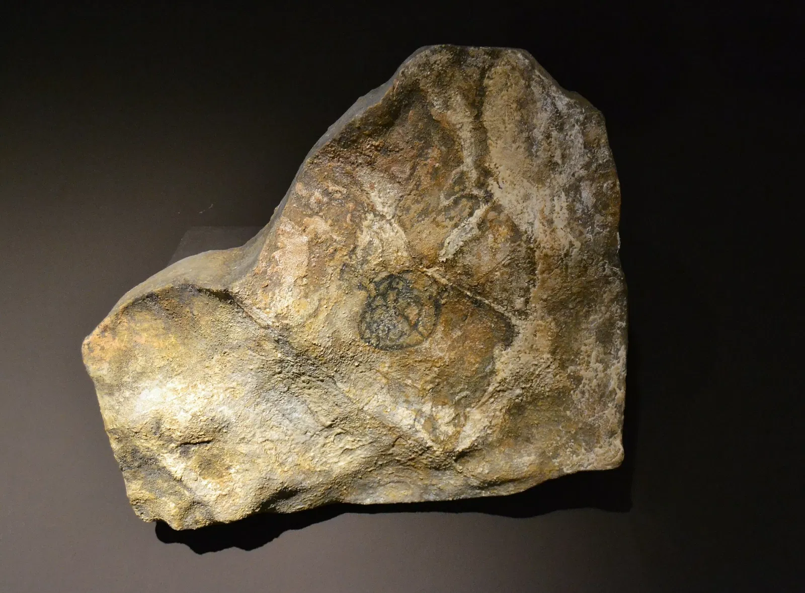 Soler Blasco Archaeological and Ethnographic Museum