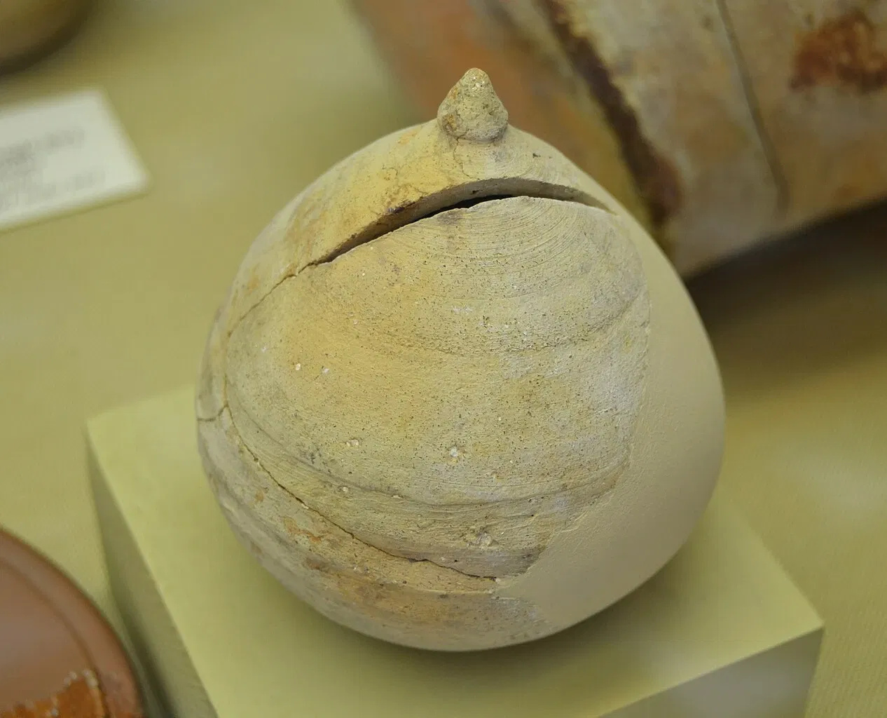 Soler Blasco Archaeological and Ethnographic Museum