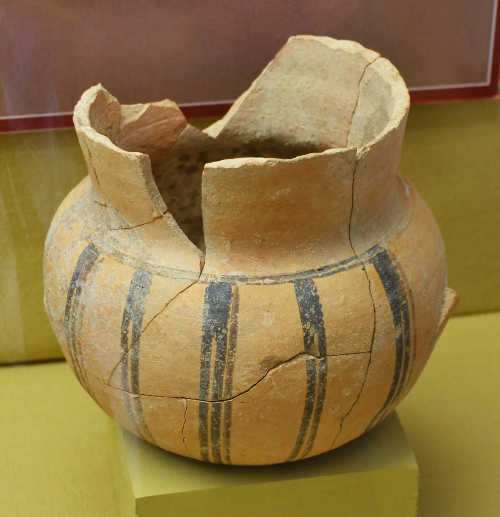 Museo Arqueológico y Etnográfico Soler Blasco