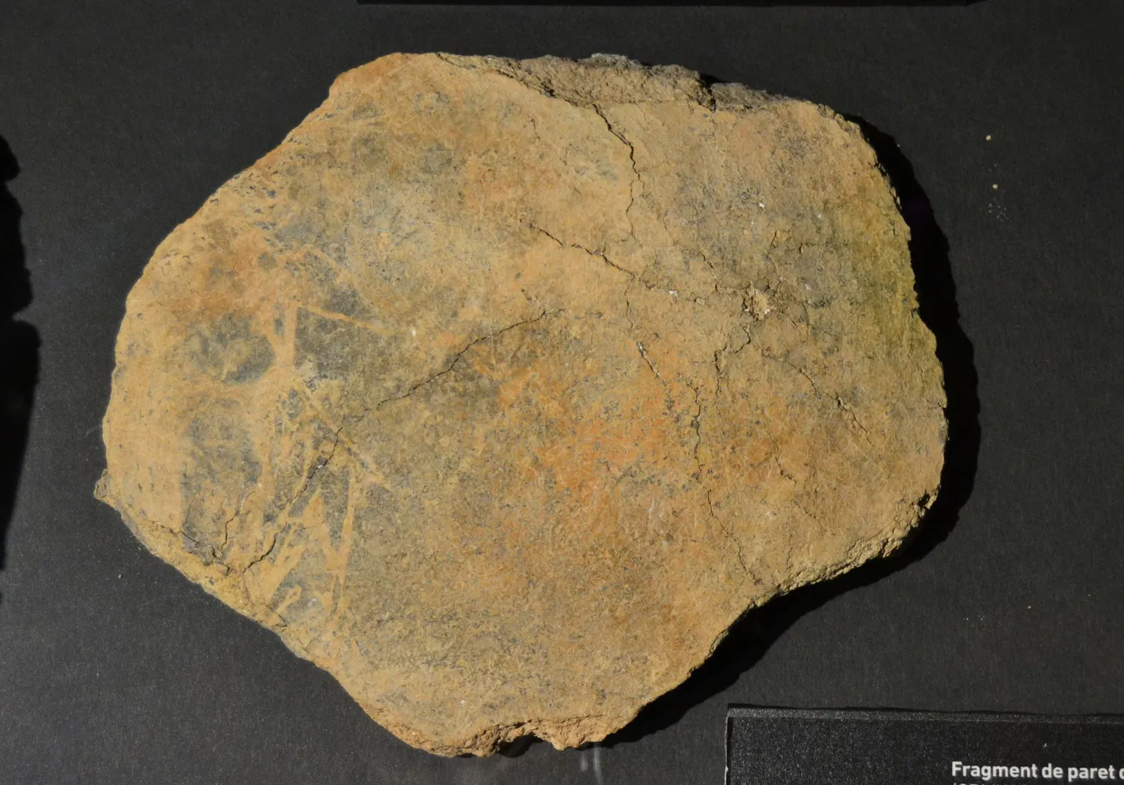 Soler Blasco Archaeological and Ethnographic Museum