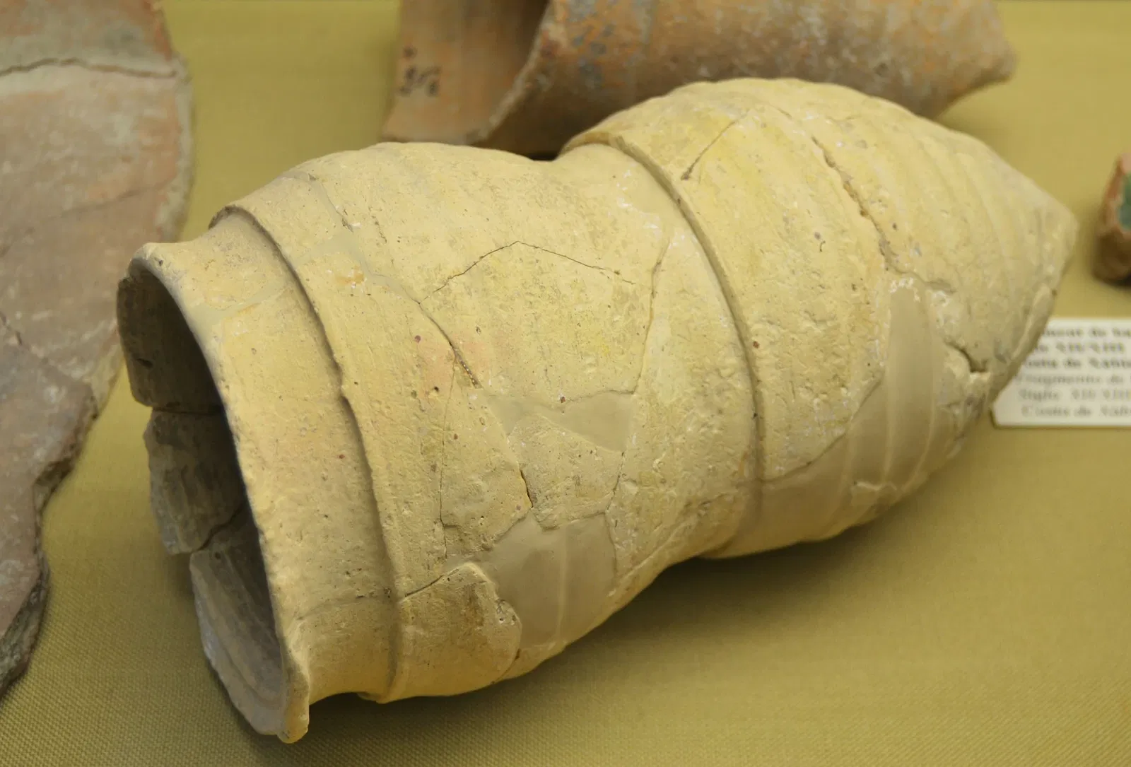 Museo Arqueológico y Etnográfico Soler Blasco