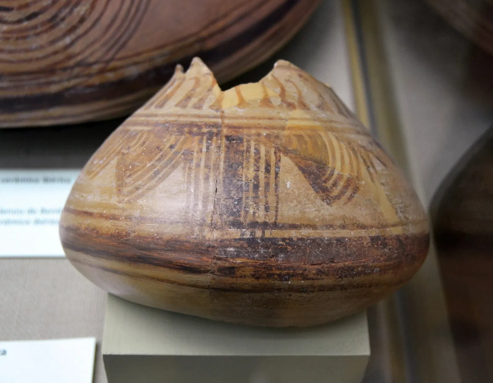 Soler Blasco Archaeological and Ethnographic Museum