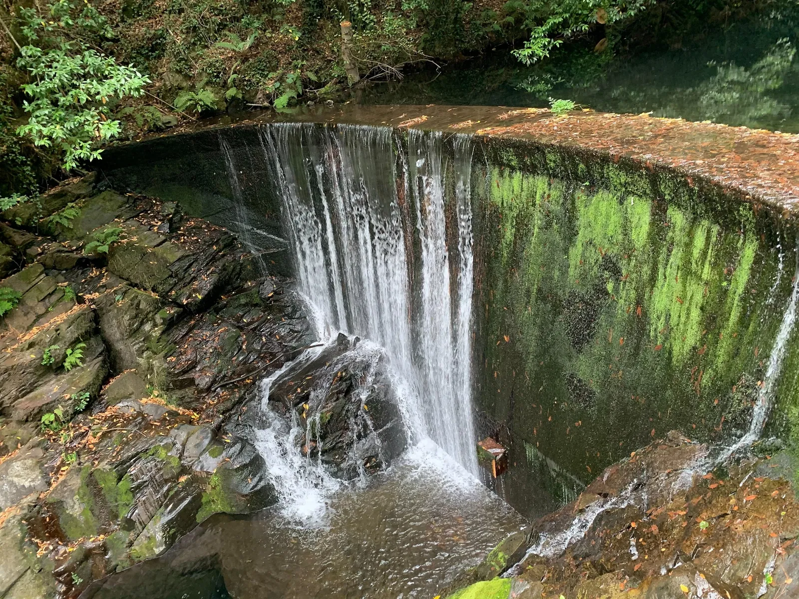 Mazonovo Ethnographic Ensemble
