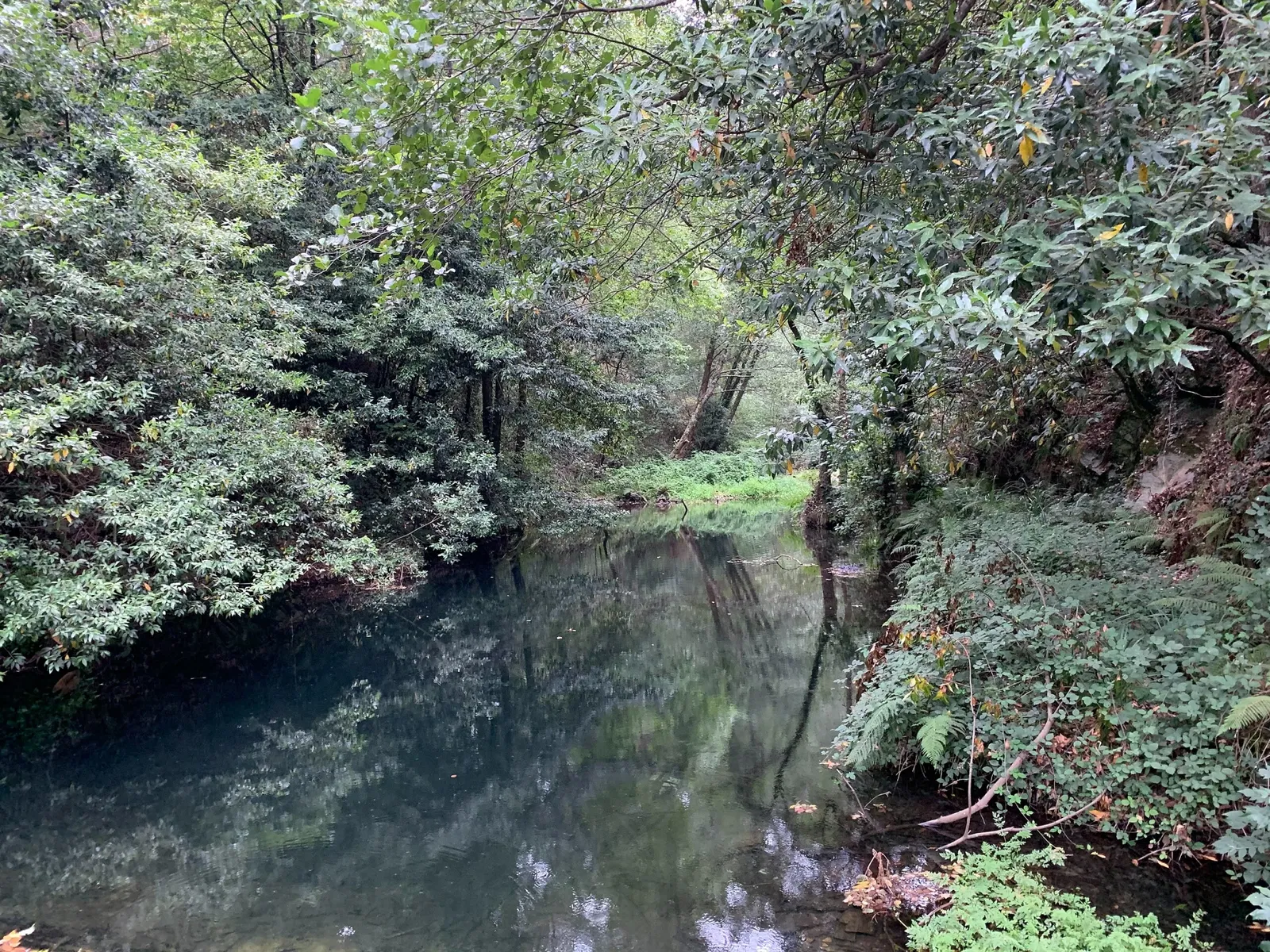 Conjunto Etnográfico de Mazonovo