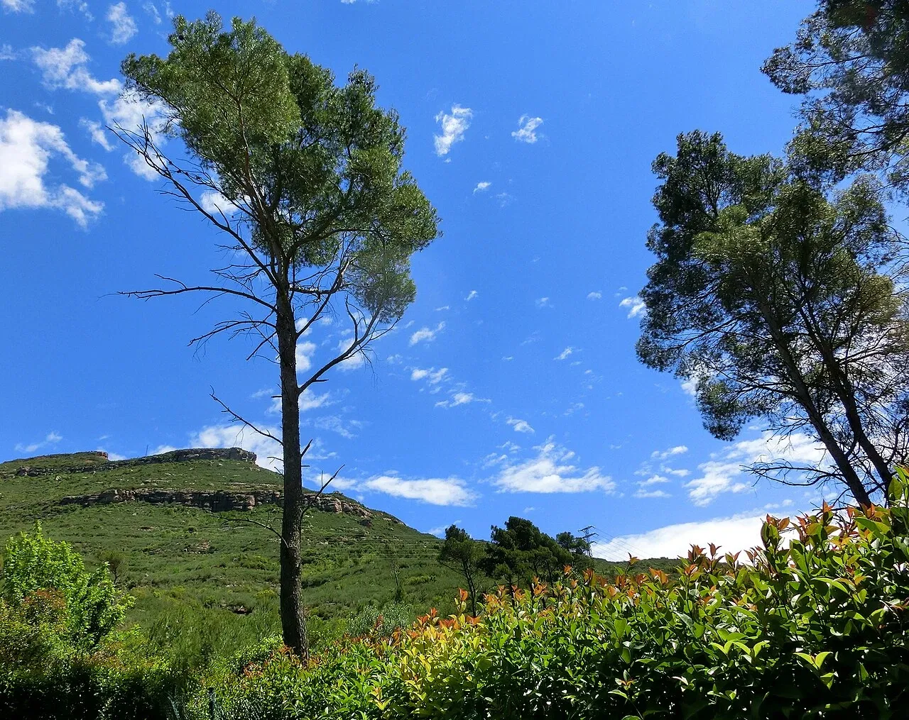 Monastero di Montserrat