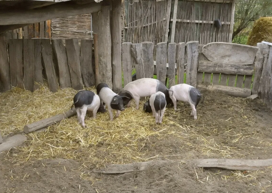 Steinzeitdorf Kussow