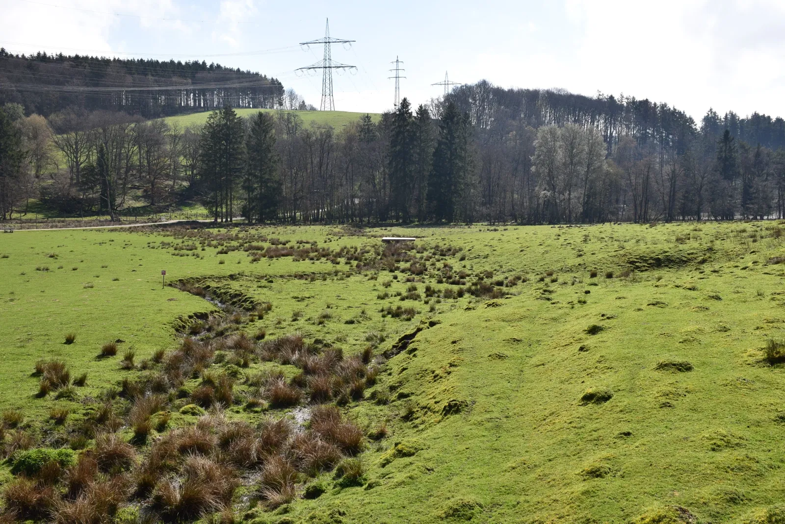 Tierpark Rheinböllen