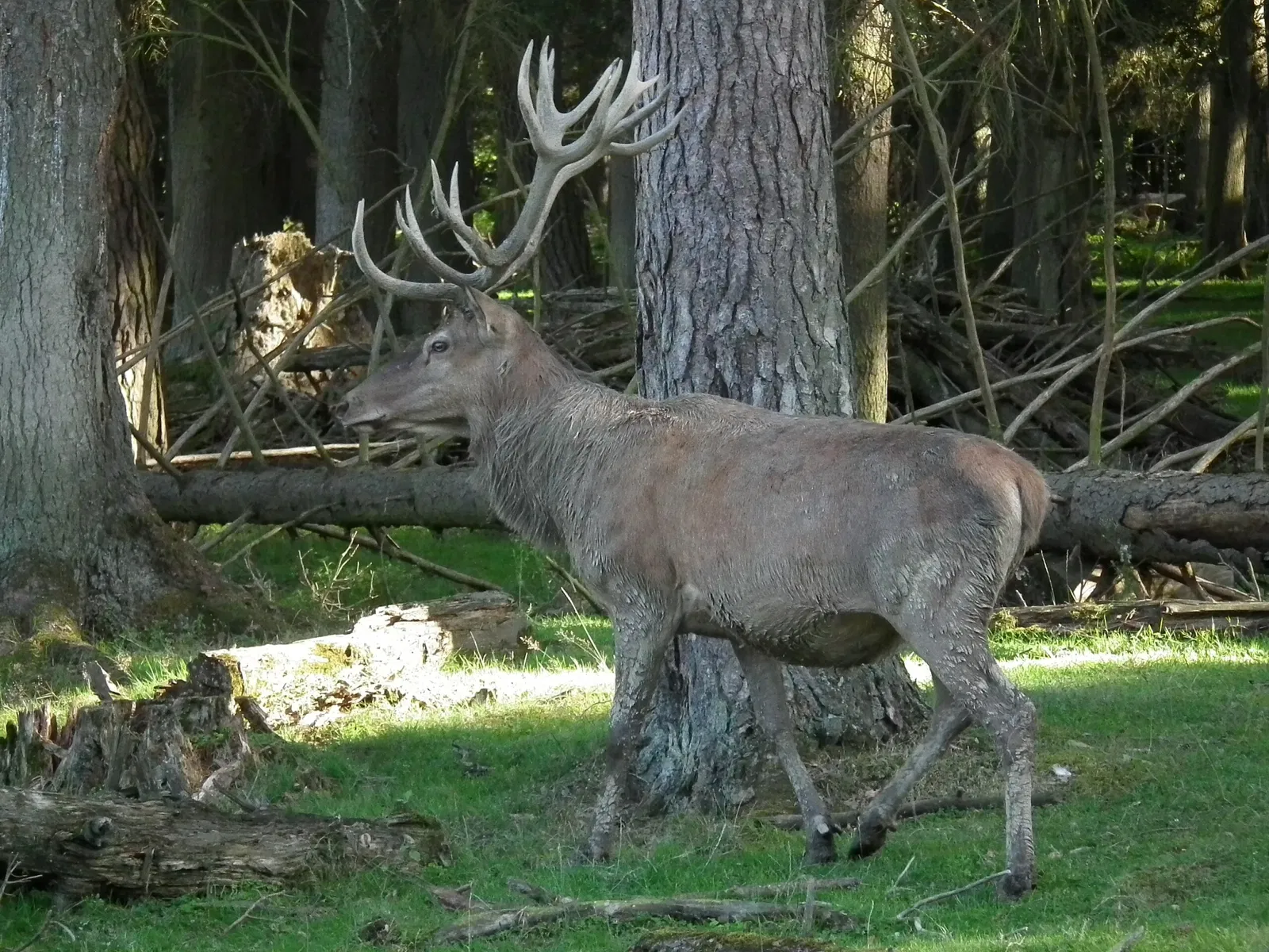 Tierpark Rheinböllen