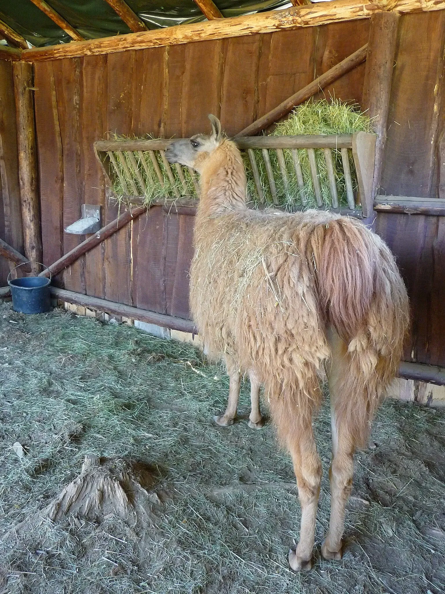 Tierpark Rheinböllen
