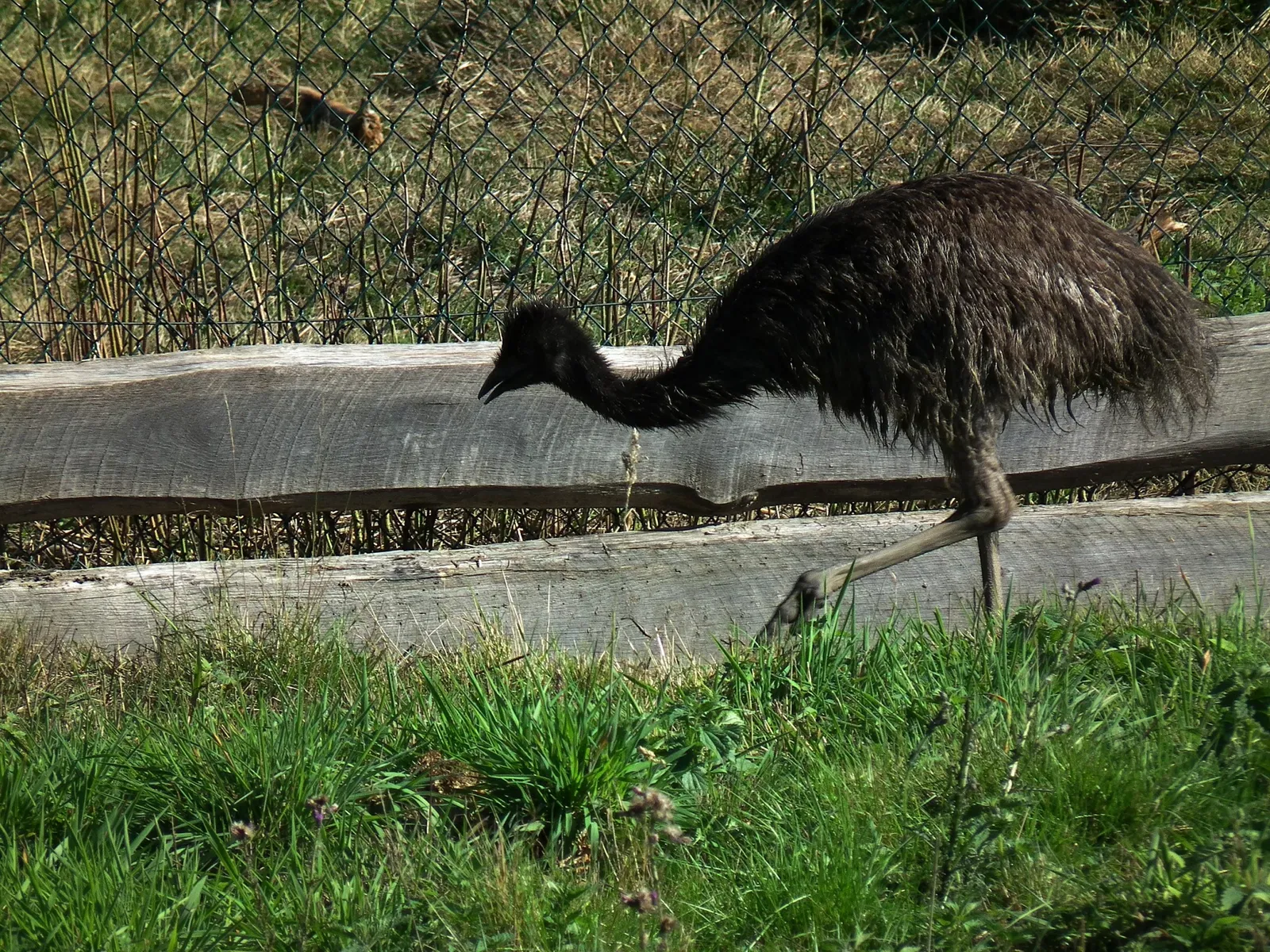 Tierpark Rheinböllen