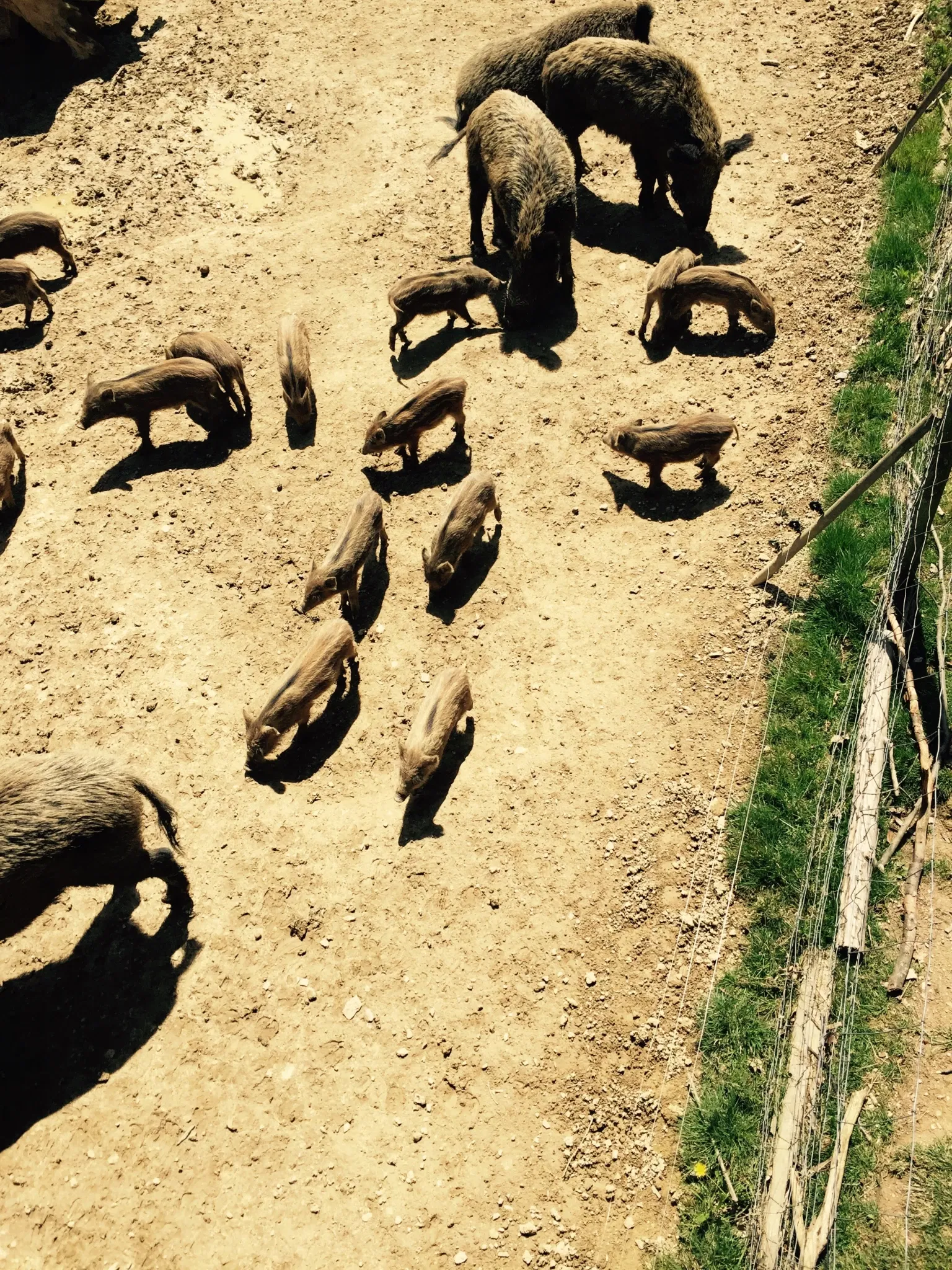 Tierpark Rheinböllen