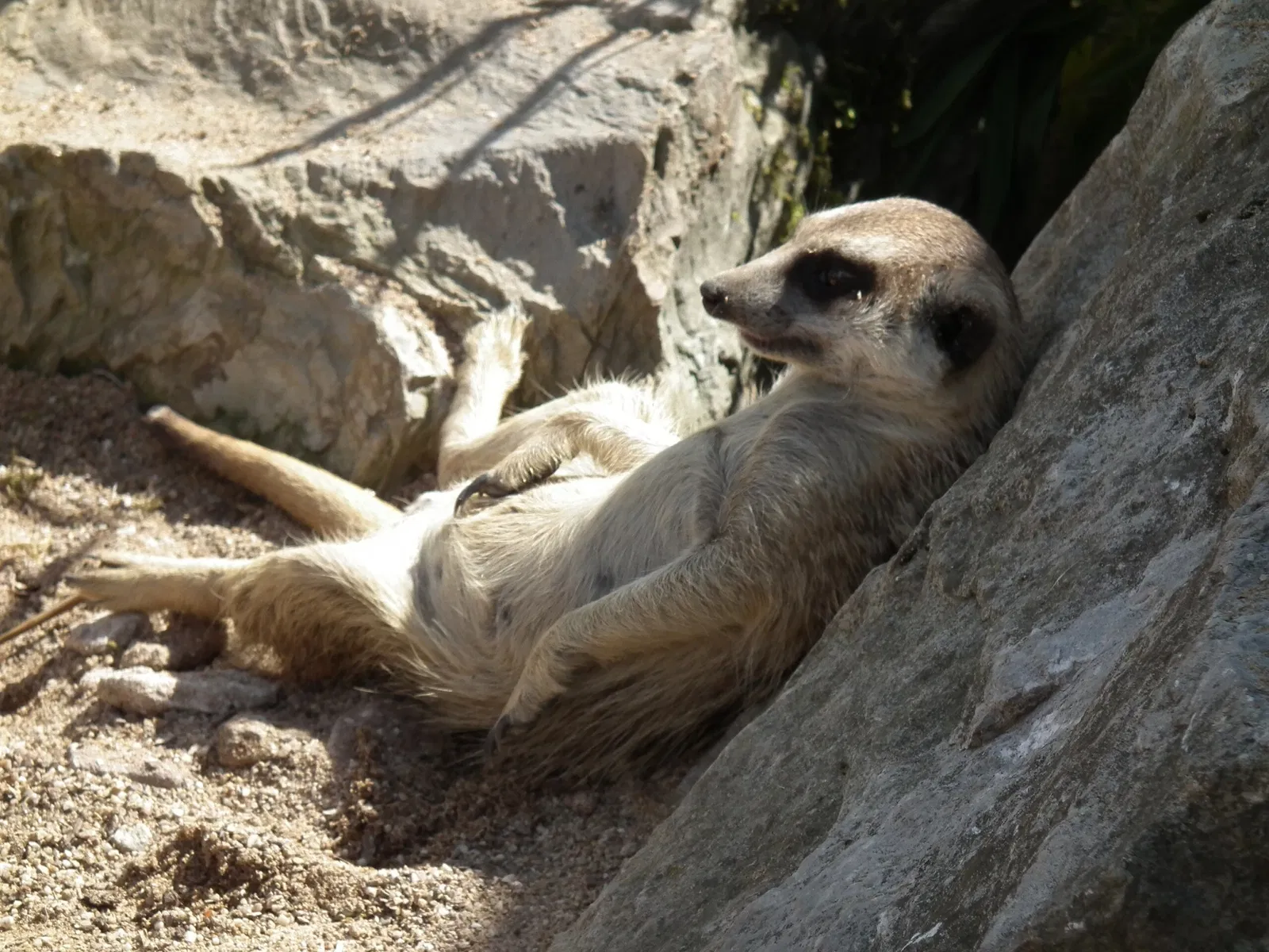 Tierpark Rheinböllen