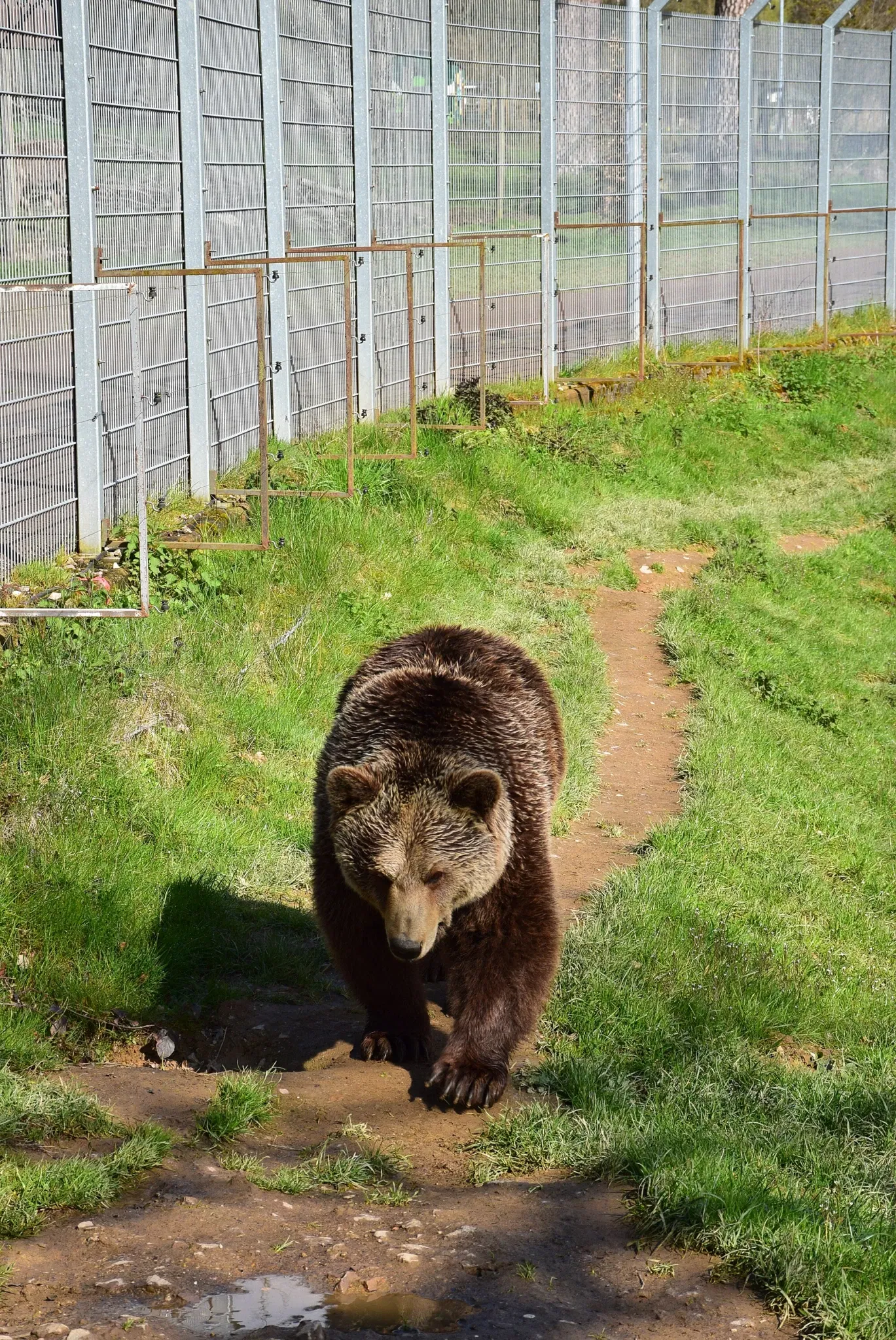 Tierpark Rheinböllen