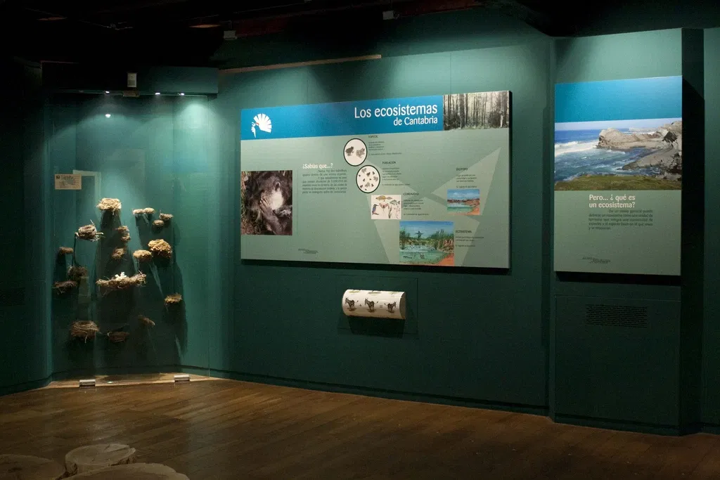 Museo De La Naturaleza De Cantabria