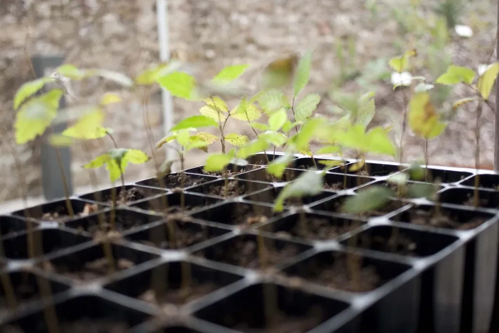 Museo De La Naturaleza De Cantabria