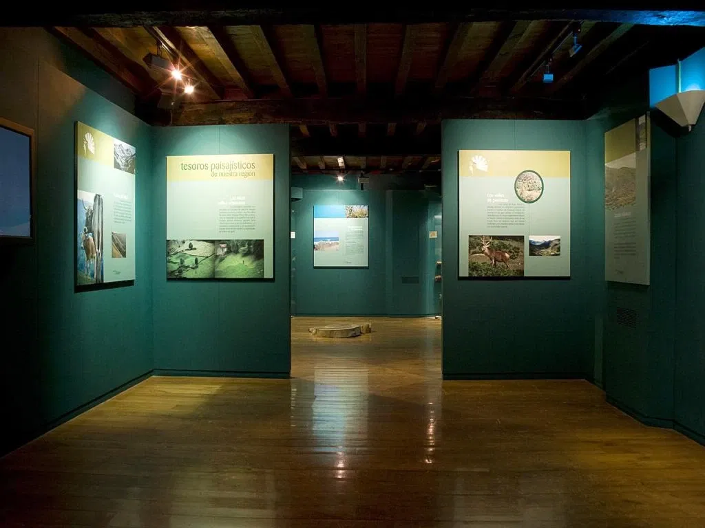 Museo De La Naturaleza De Cantabria
