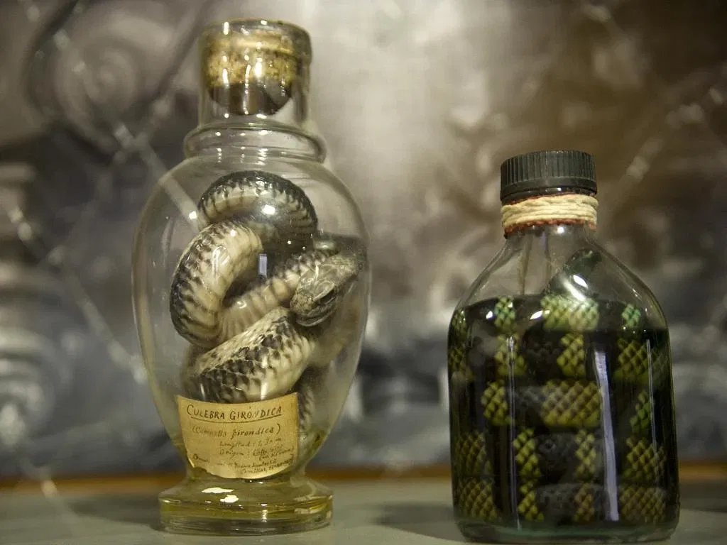 Museo De La Naturaleza De Cantabria