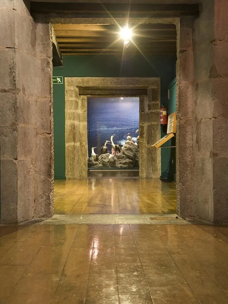 Museo De La Naturaleza De Cantabria