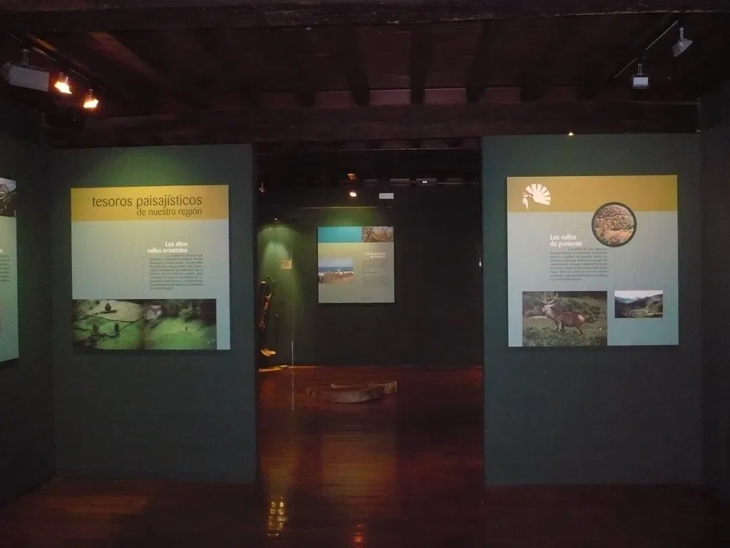 Museo De La Naturaleza De Cantabria