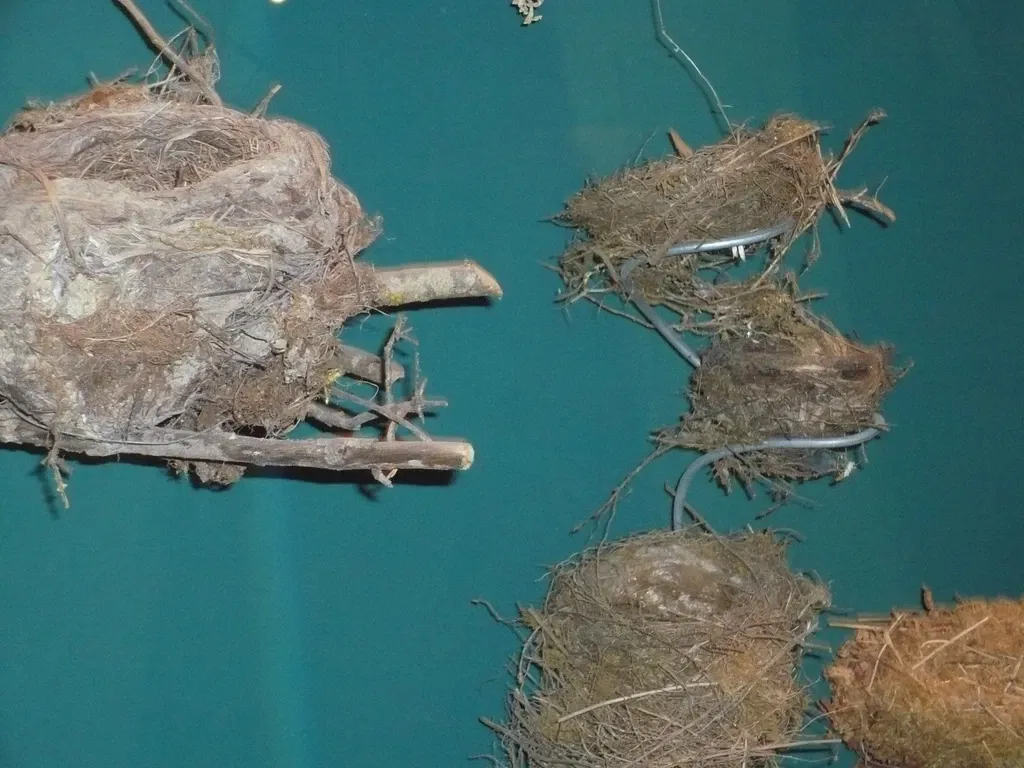 Museo De La Naturaleza De Cantabria