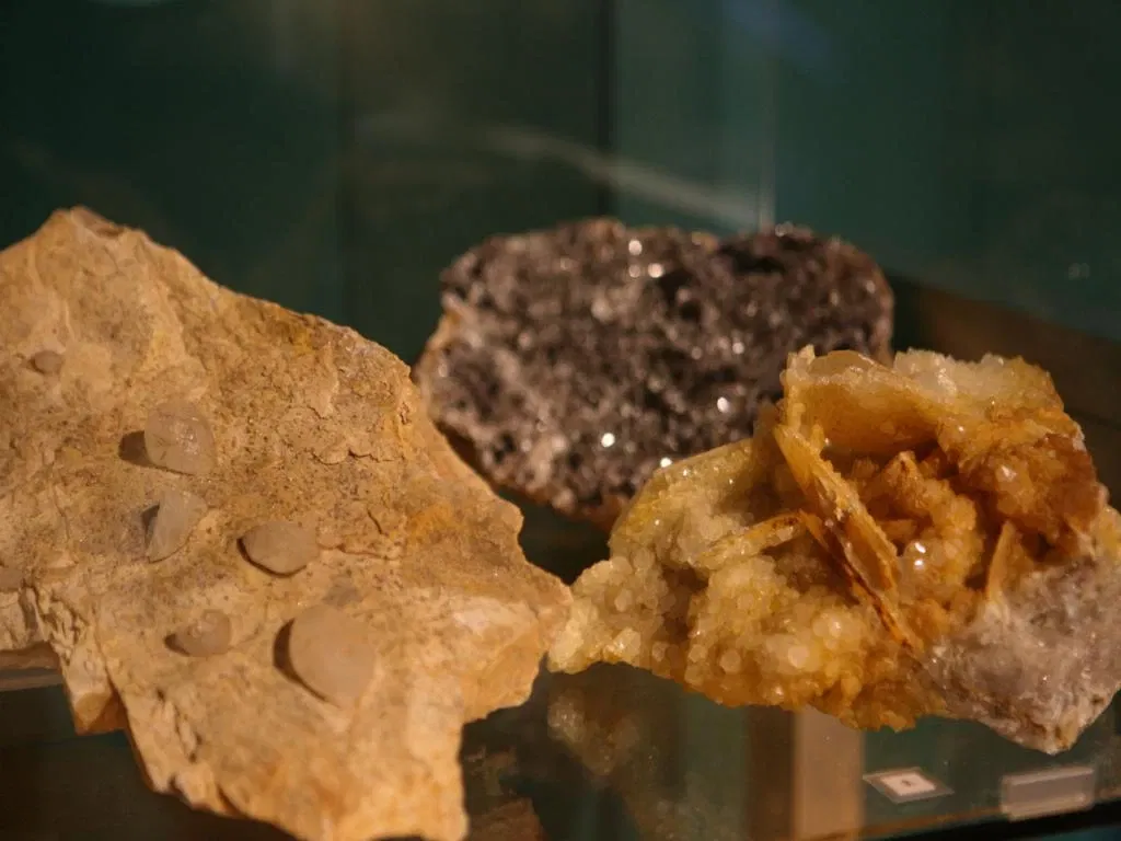 Museo De La Naturaleza De Cantabria