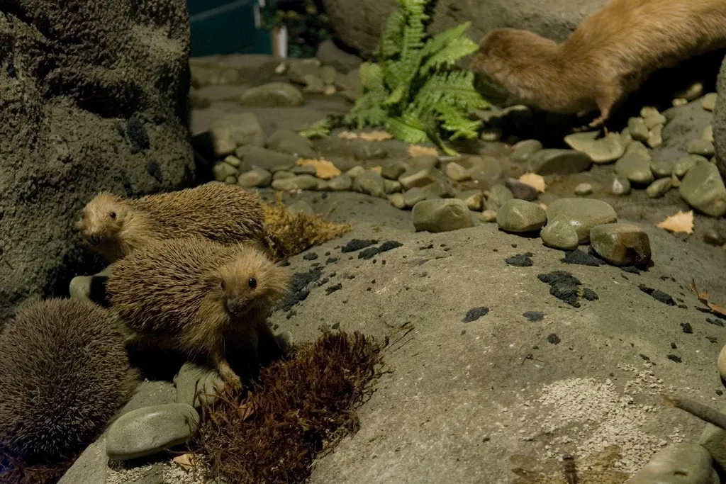 Museo De La Naturaleza De Cantabria