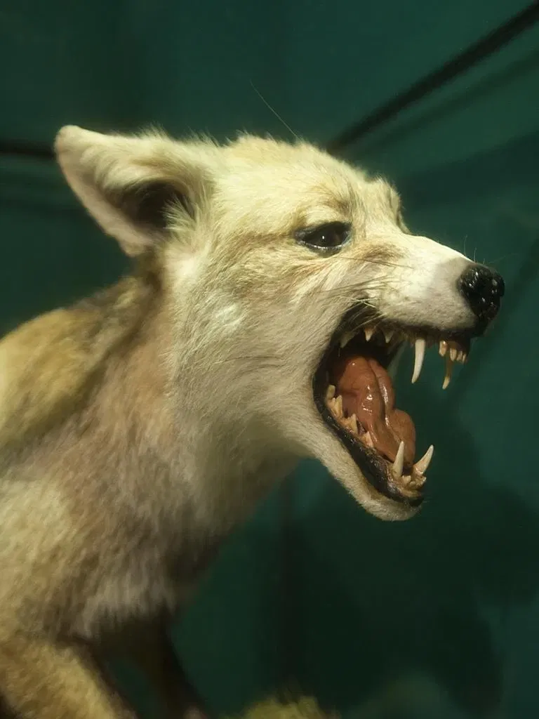 Museo De La Naturaleza De Cantabria