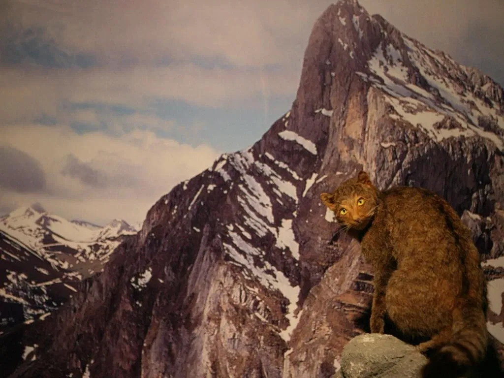 Museo De La Naturaleza De Cantabria