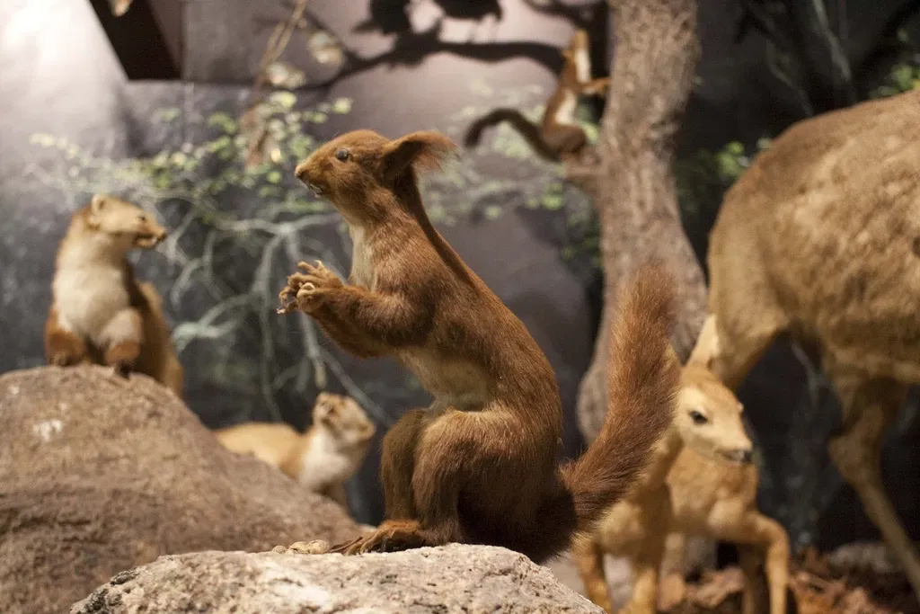Museo De La Naturaleza De Cantabria