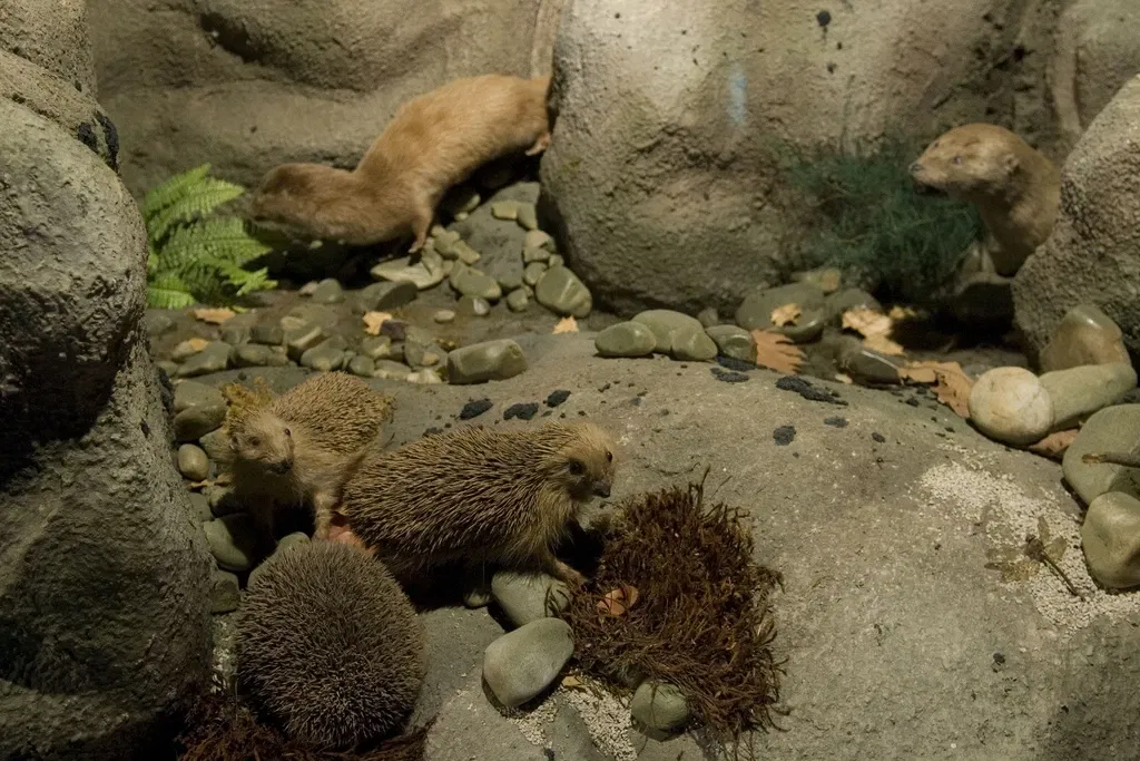 Museo De La Naturaleza De Cantabria