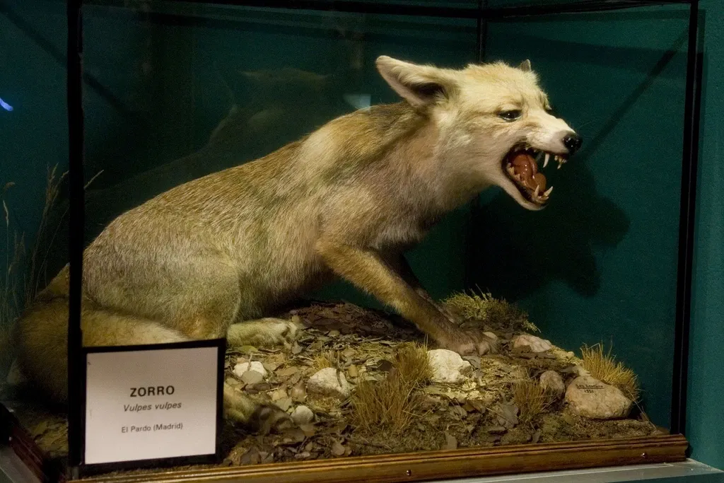 Museo De La Naturaleza De Cantabria