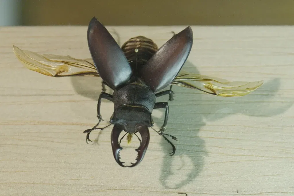 Museo De La Naturaleza De Cantabria