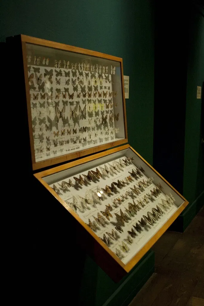Museo De La Naturaleza De Cantabria