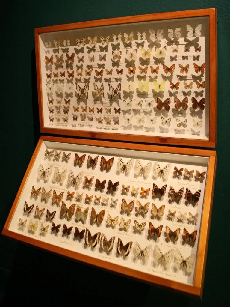 Museo De La Naturaleza De Cantabria